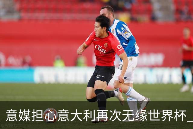 意媒担心意大利再次无缘世界杯 名帅批球队飘了